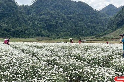 Sống động du lịch Sơn La trên trang báo