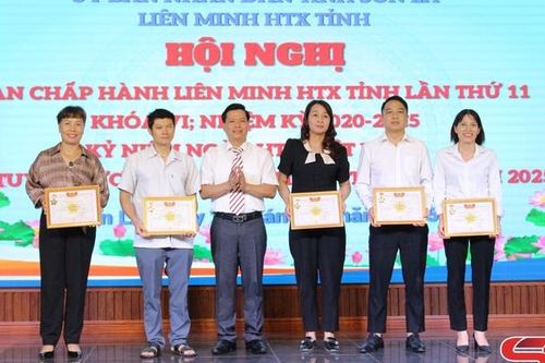 Phát huy vai trò của kinh tế tập thể đổi mới, sáng tạo