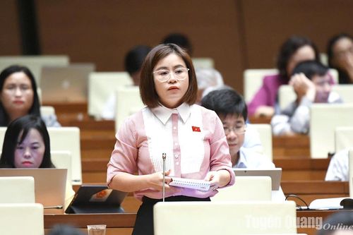 Đại biểu Nguyễn Việt Hà chất vấn Bộ trưởng Bộ Giáo dục và Đào tạo