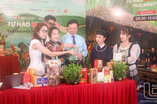 Chè Thái Nguyên chinh phục thị trường thế giới - Kỳ 3: Tăng cường xuất khẩu để phát triển bền vững