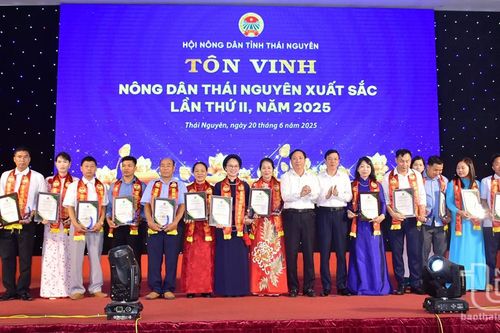 Thái Nguyên: Tôn vinh 168 cán bộ, nông dân điển hình tiên tiến giai đoạn 2020-2025