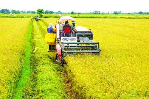 Trợ lực giảm nghèo bền vững ở Trần Đề