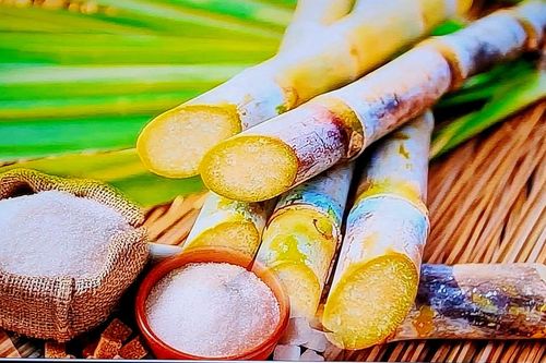 Ngành mía đường Việt Nam lao đao vì tồn kho, rớt giá