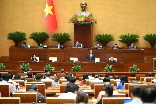 'Ngày không còn bạo lực học đường là ngày người lớn không còn đánh nhau nữa'