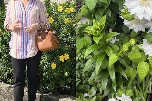 Vườn nhà đầy hoa của vợ cũ Đàm Vĩnh Hưng, có cây đào nặng trĩu quả do con trai tặng