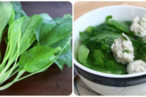 Các bài thuốc chữa bệnh từ cây mã đề