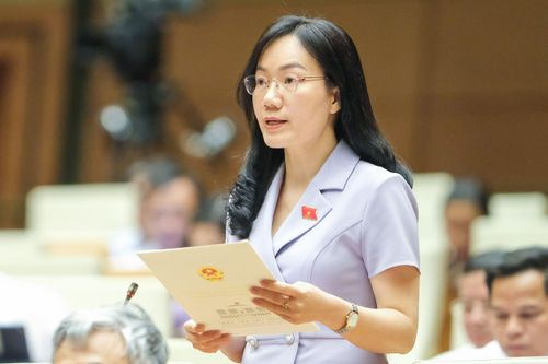 ĐBQH lo nở rộ kỳ thi đánh giá năng lực gây tốn kém, tăng áp lực thi cử