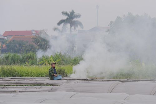 Dân đốt rơm, khói trắng trời Hà Nội, hun người đi đường