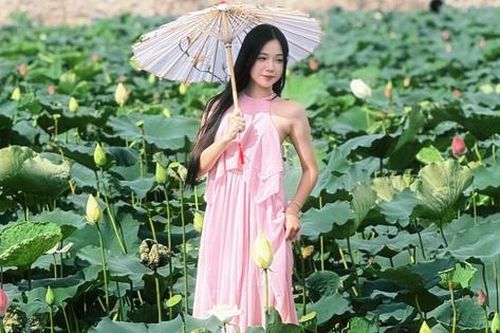 Hà Nội tháng 6: Sen nở khắp Hồ Tây, thiếu nữ xuống phố 'hóa nàng thơ' giữa đời thực