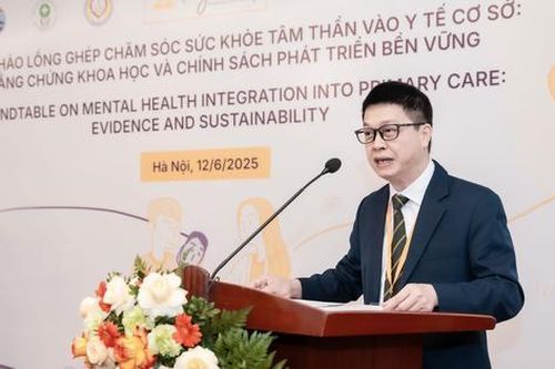 Thúc đẩy chăm sóc sức khỏe tâm thần tại y tế cơ sở: Hướng tới chính sách phát triển bền vững