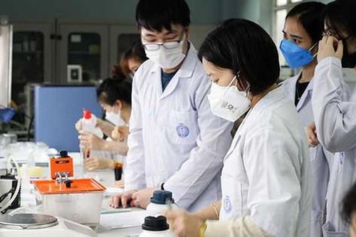 10 đại học Việt Nam trong Bảng xếp hạng đại học thế giới