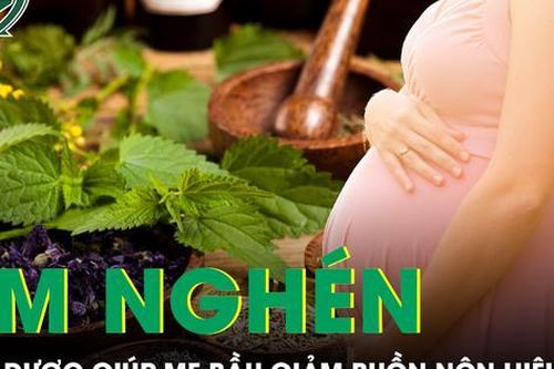Thảo dược Đông Y giúp giảm buồn nôn hiệu quả cho mẹ bầu ốm nghén nặng