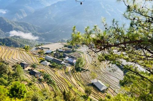 Hoàng Su Phì bốn mùa rực rỡ