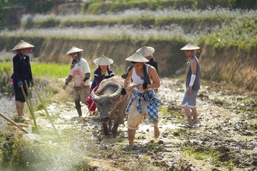 Khi những giọt mồ hôi gắn kết và chữa lành
