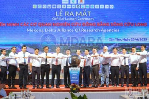 Liên minh các cơ quan nghiên cứu ra mắt tại đồng bằng sông Cửu Long