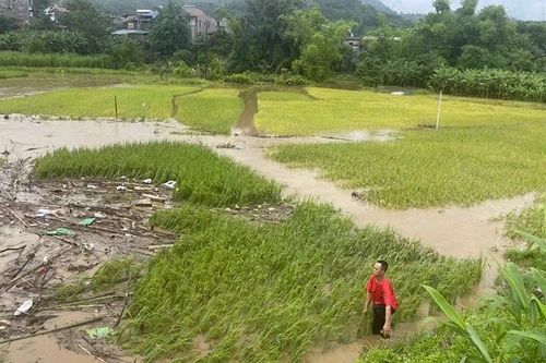 Bắc Kạn: Thiệt hại do mưa lũ tăng nhanh