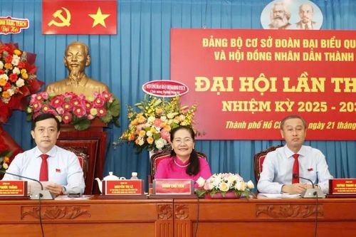 Đổi mới phương thức lãnh đạo, nâng cao chất lượng giám sát trong tổ chức Đảng cơ quan dân cử TPHCM