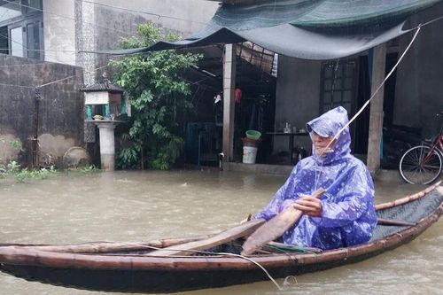 Hỗ trợ khẩn cấp 160 tấn hạt giống lúa cho TP Huế