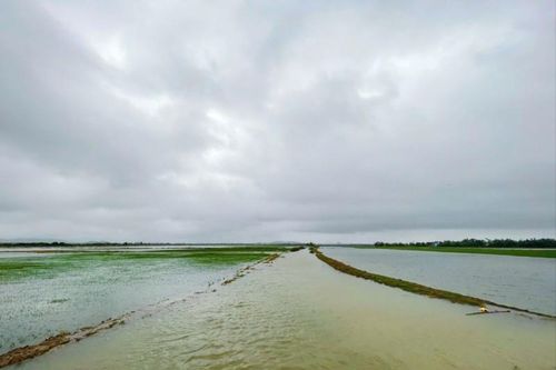 Mưa lớn gây ngập lụt tại một số tỉnh phía Bắc