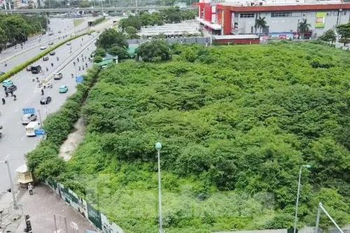 Dự án tháp tài chính gần 4.000 tỷ đồng ở Hà Nội 'hóa rừng' sau 20 năm ôm đất lãng phí