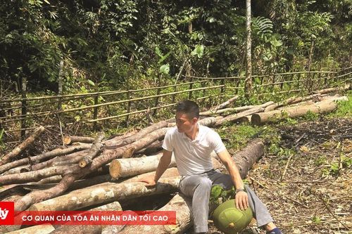 Phóng viên đi rừng