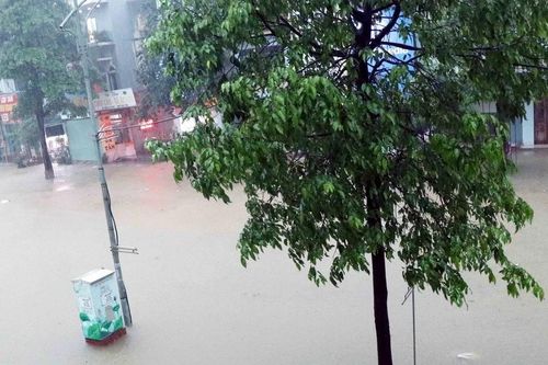 Thái Nguyên: Mưa lớn khiến 1 người bị thương, 86ha lúa và hoa màu bị ngập