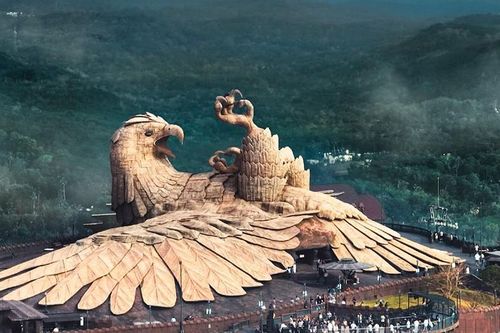 Top 10 loài chim 'khủng' nhất trái đất
