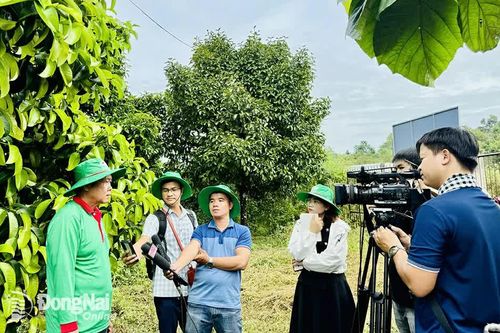 Nghề viết và 'duyên nợ' với người nông dân