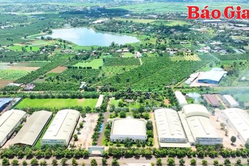 Báo chí Gia Lai đồng hành cùng doanh nghiệp