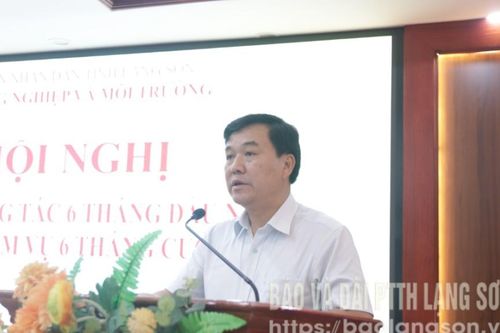 Ngành Nông nghiệp và Môi trường triển khai nhiệm vụ 6 tháng cuối năm