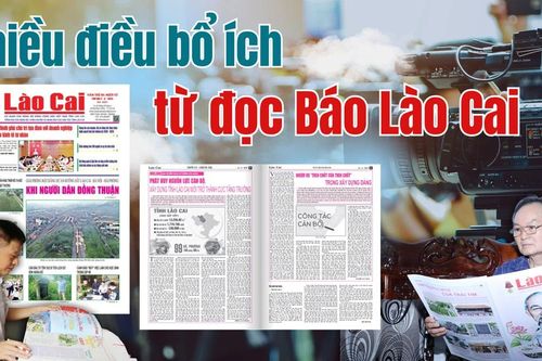 Nhiều điều bổ ích từ đọc Báo Lào Cai