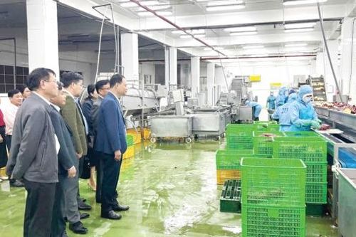 Đức Trọng quyết tâm hoàn thành mục tiêu tăng trưởng kinh tế