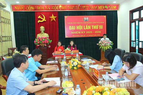 Chi bộ Hiệp hội Doanh nghiệp tỉnh tổ chức Đại hội lần thứ III, nhiệm kỳ 2025 - 2030