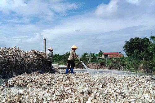 Kim Trung chú trọng phát triển kinh tế, nâng cao thu nhập cho người dân