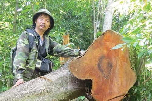 Băng rừng tìm...lâm tặc