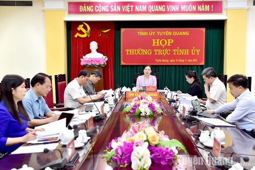 Thường trực Tỉnh ủy cho ý kiến vào việc tổ chức công bố sắp xếp đơn vị hành chính cấp tỉnh, cấp xã