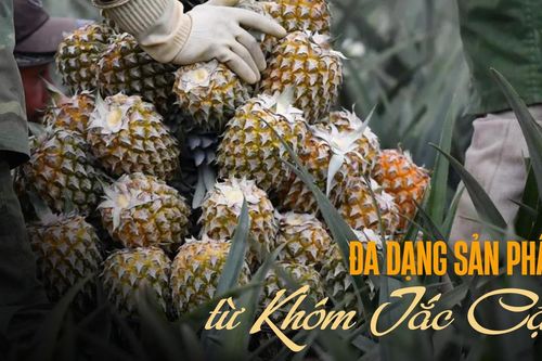 Ða dạng sản phẩm từ Khóm Tắc Cậu