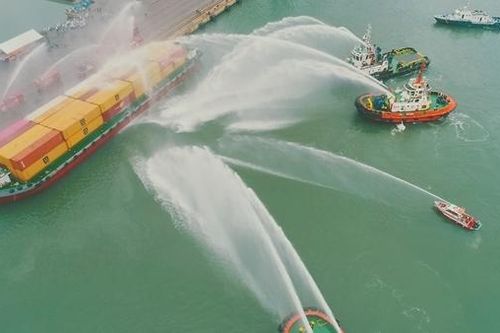 Bà Rịa - Vũng Tàu diễn tập chữa cháy, cứu nạn, cứu hộ tại Cụm Tân Cảng Cái Mép
