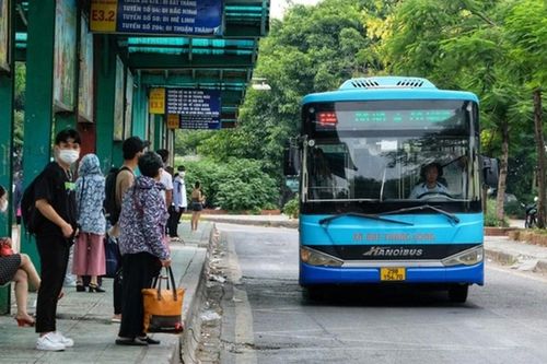 Xe buýt Hà Nội thu hút nhân viên văn phòng, công sở