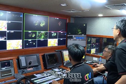 CTV Chuyển đổi số