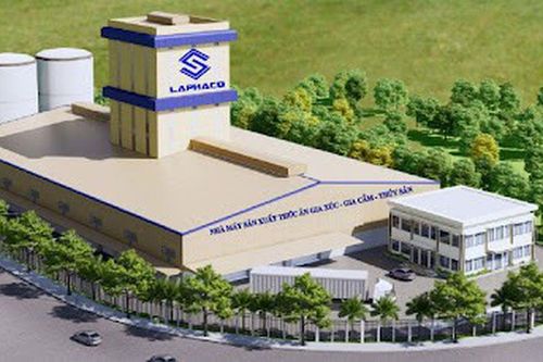 Lam Cường: Nâng tầm giá trị chăn nuôi Việt bằng công nghệ và dinh dưỡng chuẩn quốc tế