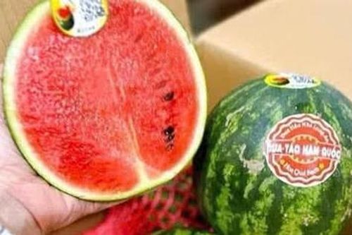 Vì sao nhiều người đua nhau săn lùng dưa hấu táo mini?