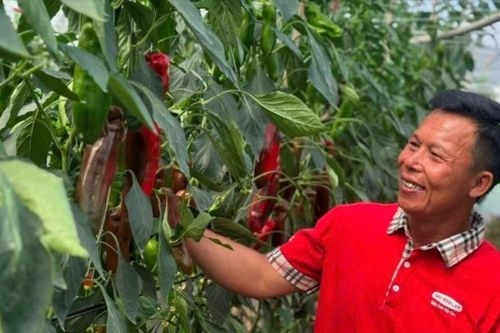 Đòn bẩy và điểm nghẽn của nông nghiệp hiện đại