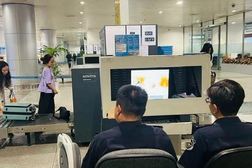 Chi cục Hải quan khu vực XV được giao nhiệm vụ mới