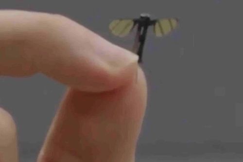 'Muỗi trinh sát': Nhỏ như côn trùng, mạnh như thiết bị quân sự