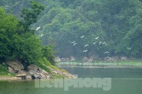 Cảnh hoang sơ, thơ mộng hồ Tuy Lai ngay ngoại thành Hà Nội