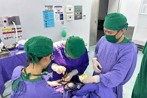 Phẫu thuật cứu sống nữ bệnh nhân bị kéo đâm xuyên não