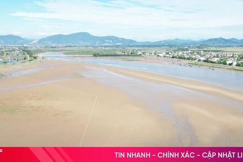 Nhiều héc ta rừng ngập mặn ở thị xã Kỳ Anh bị chết trắng