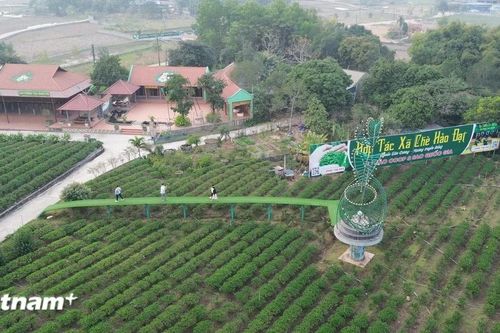 Thái Nguyên: Sản phẩm OCOP tạo động lực phát triển kinh tế nông thôn