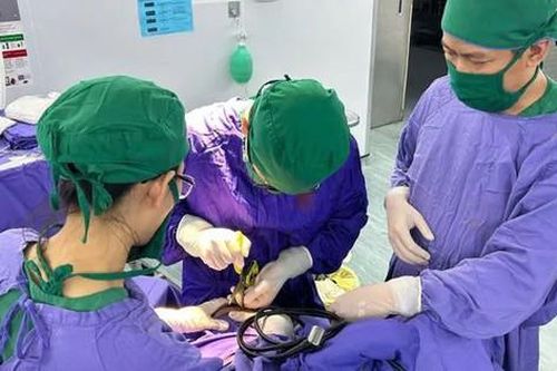 Người phụ nữ 25 tuổi bị kéo nhọn găm vào đầu